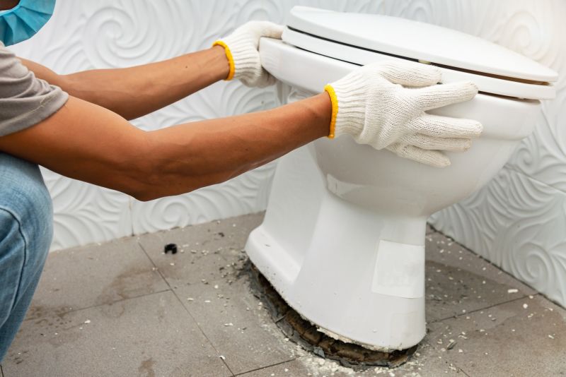 Toilet Snaking detail
