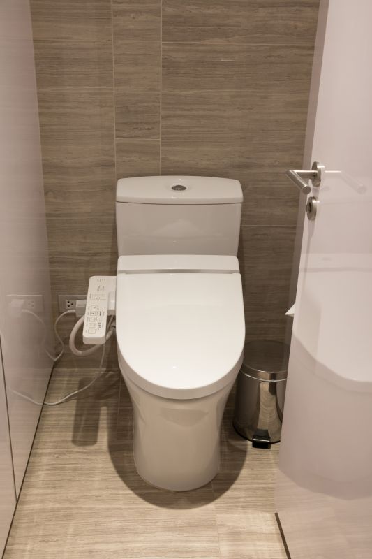 Toilet Replacement